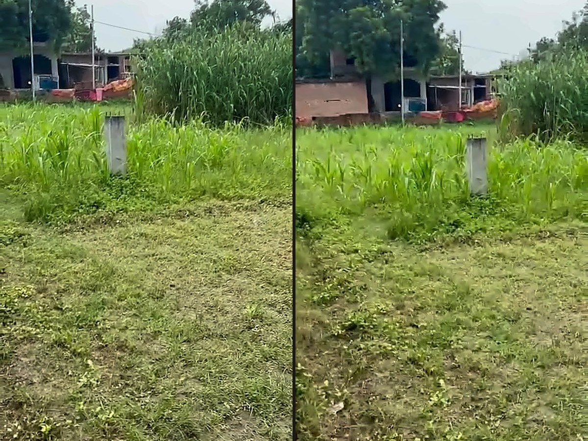 Residential Plot — 1 Biswa, Chhahi, Sarnath
