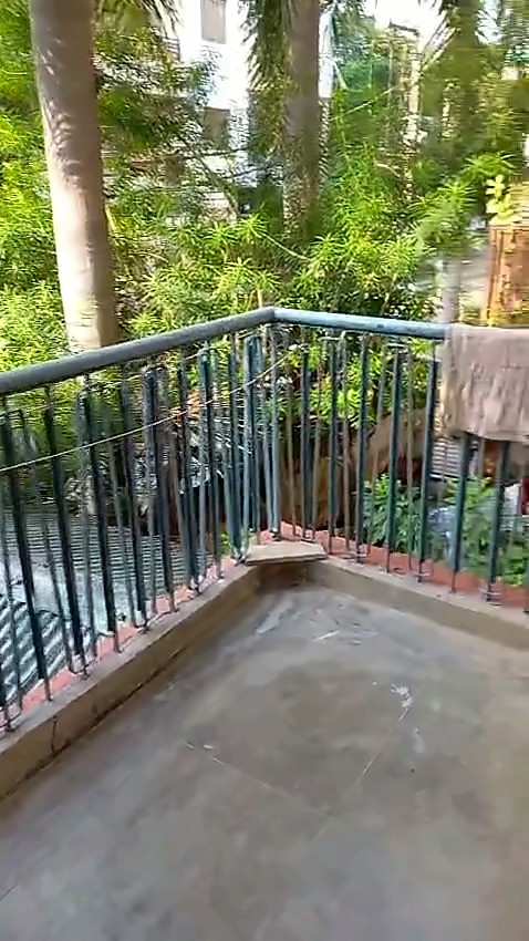 3 BHK House — Fully Furnished, Premchand Nagar, Pandeypur — photo 3
