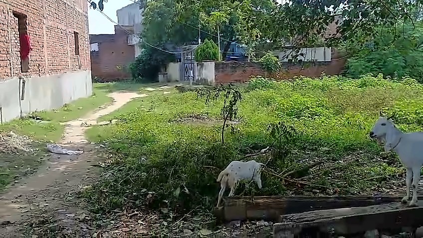 Land for Sale — 7,480+ Sq Ft, 40 Ft Front, Kotwa, Sarai Mohana, near Namo Ghat — photo 2