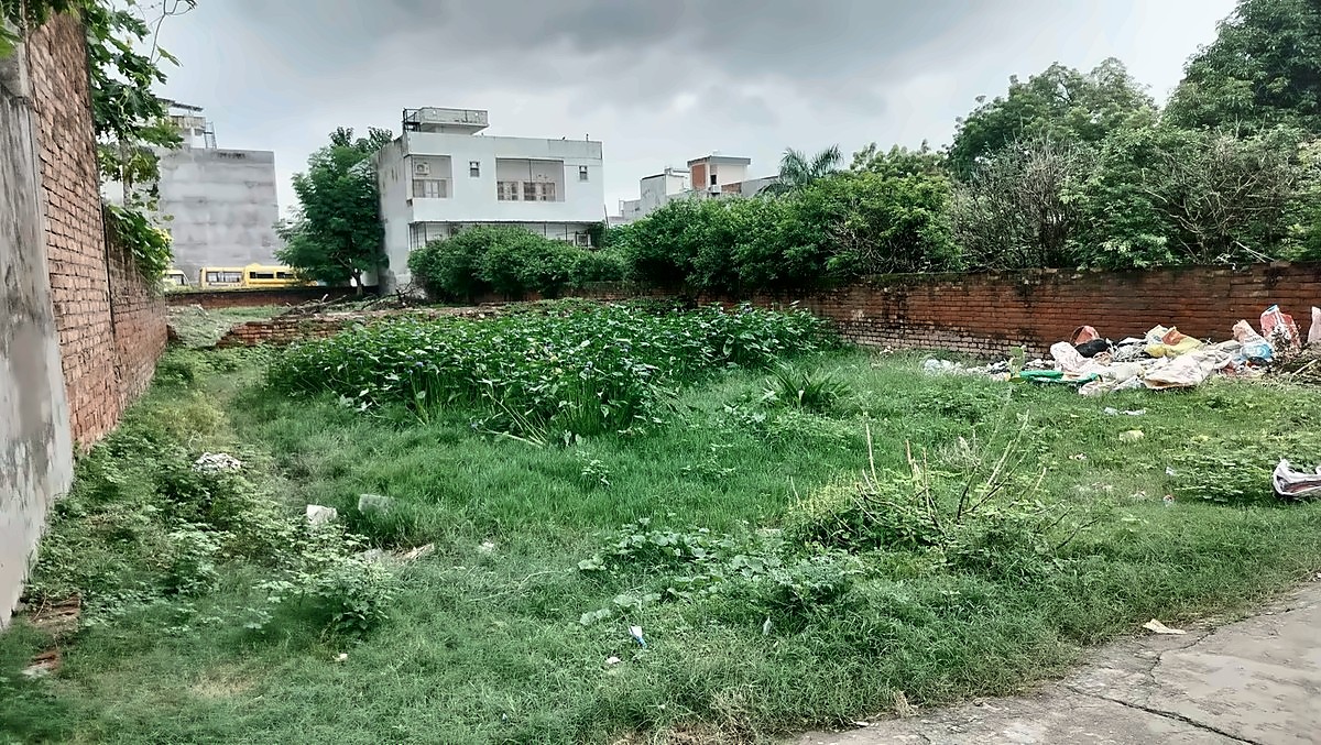 Residential Land — 11 Biswa, 100 Ft Frontage, Ramduttpur — photo 2