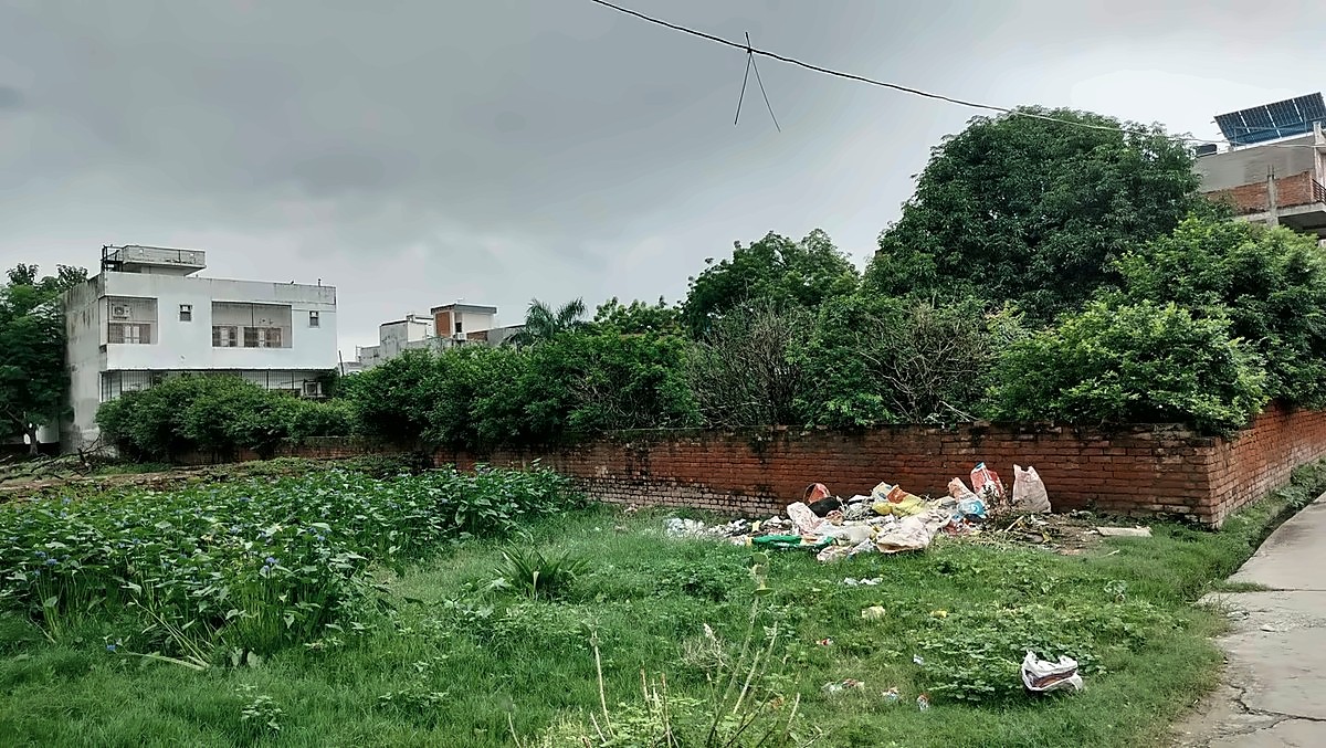 Residential Land — 11 Biswa, 100 Ft Frontage, Ramduttpur — photo 3