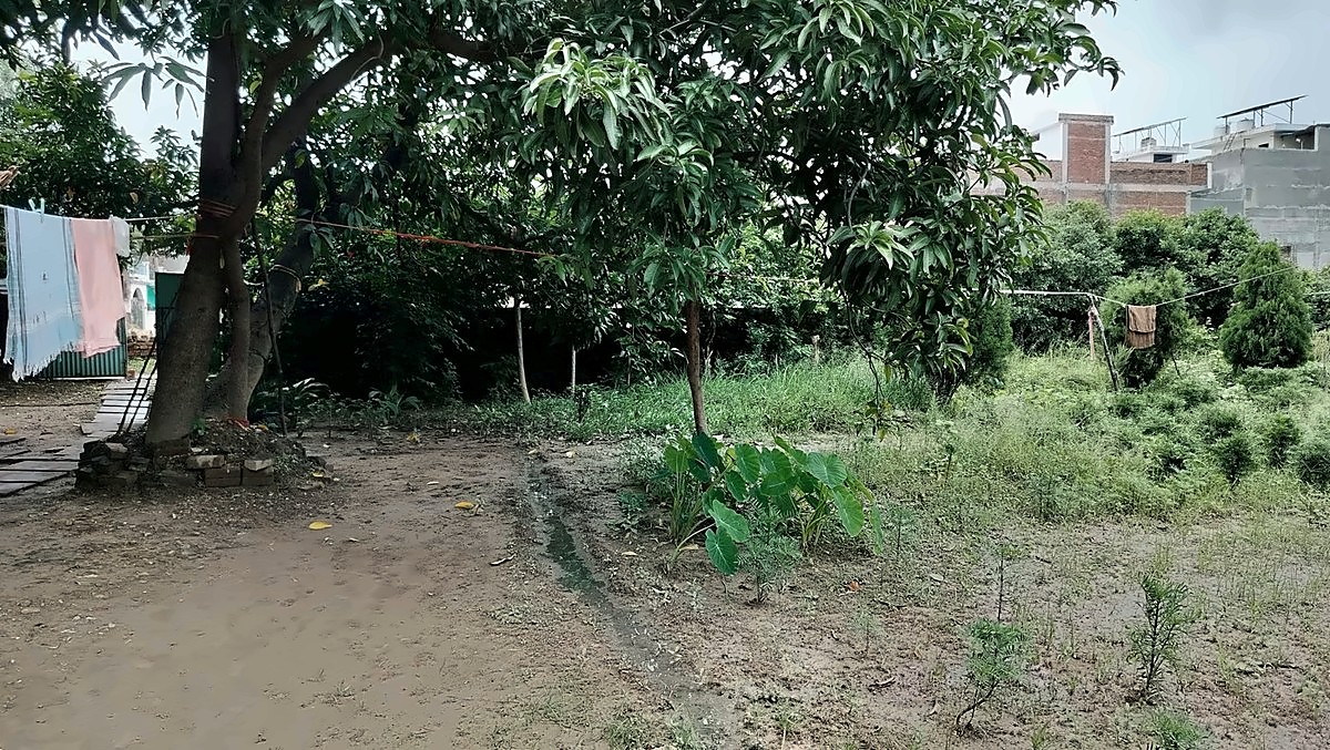 Residential Land — 11 Biswa, 100 Ft Frontage, Ramduttpur — photo 4