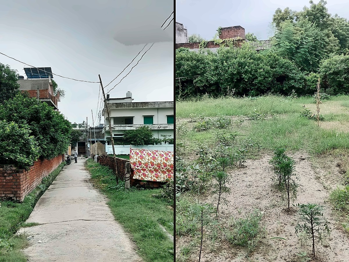Residential Land — 11 Biswa, 100 Ft Frontage, Ramduttpur