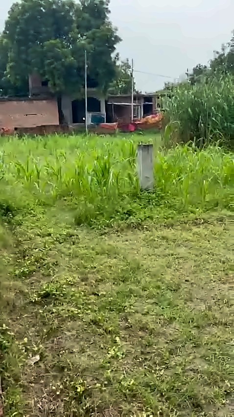 Residential Plot — 1 Biswa, Chhahi, Sarnath — photo 2