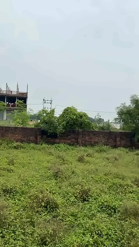 Residential Plot — 1 Biswa, Chhahi, Sarnath — photo 3