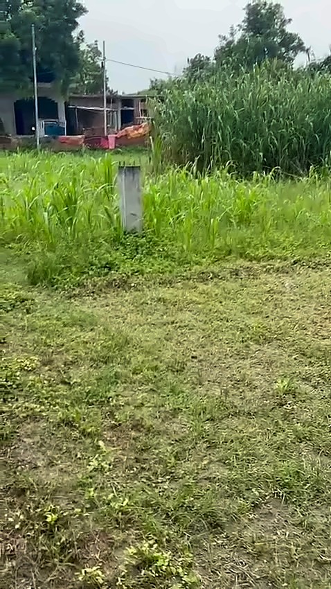 Residential Plot — 1 Biswa, Chhahi, Sarnath