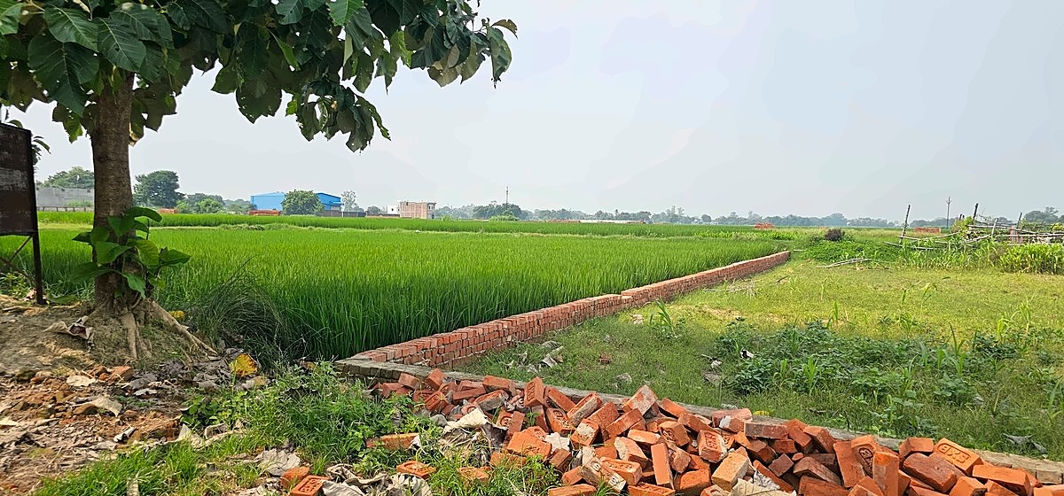 Corner Plot in a VDA-Approved Gated Society — 1,000 Sq Ft, Krishna Nagar, Darekhu, Rohania